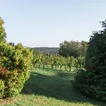 Balaton - Your Hide Away Tatil Evi