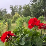 Balaton - Your Hide Away Holiday home Cserszegtomaj