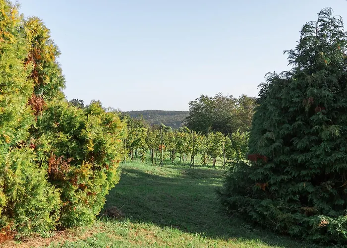 Balaton - Your Hide Away בית נופש