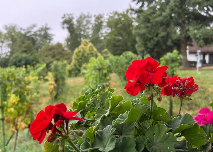 Balaton - Your Hide Away Prázdninový dům Cserszegtomaj