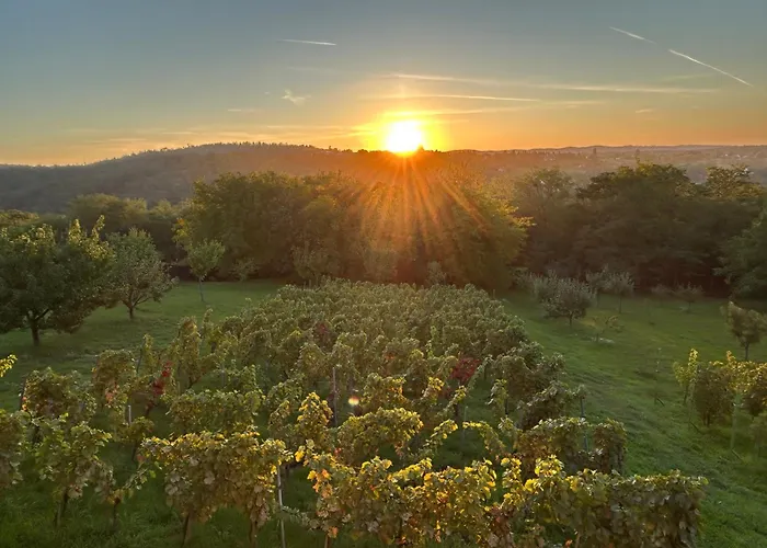 Balaton - Your Hide Away *