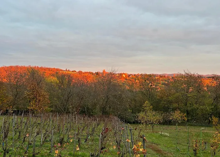 Balaton - Your Hide Away בית נופש